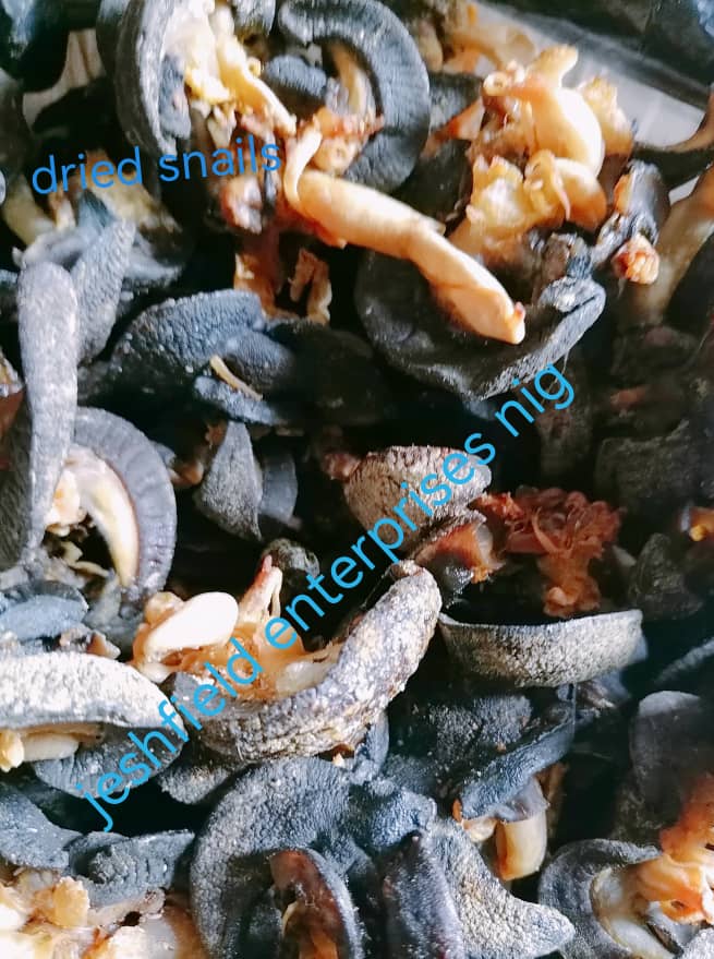 Dried Snail