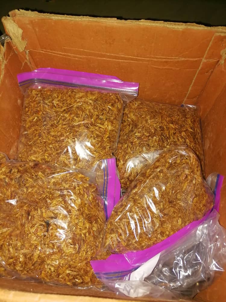 Export Sealing